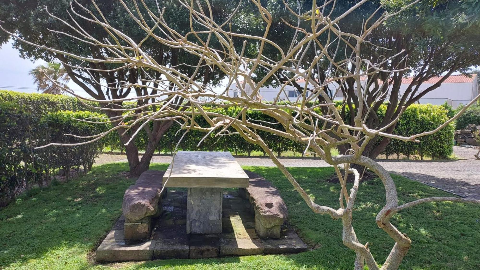 Retiro Das Camelias 1 Lajes das Flores Bagian luar foto